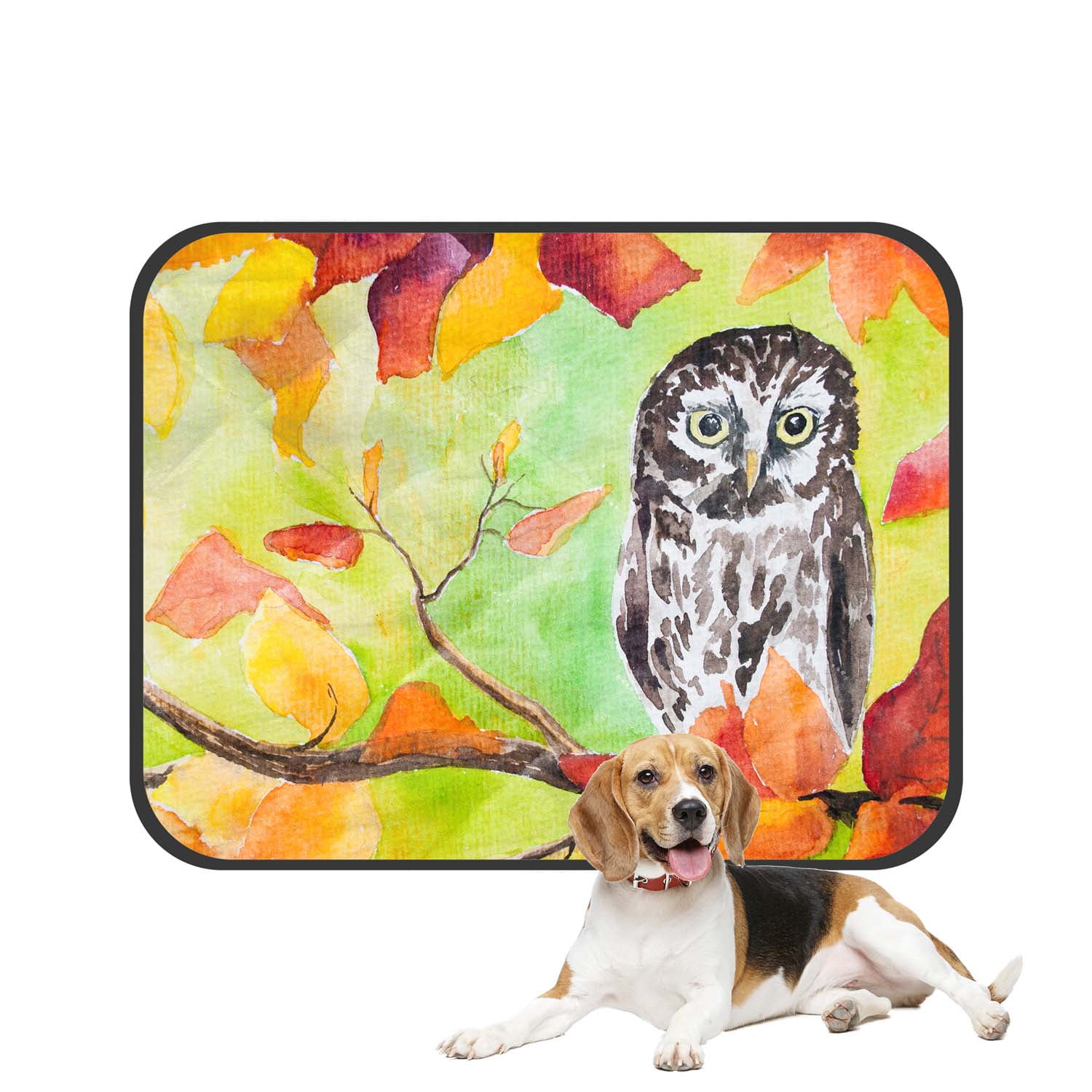 PKQWTM Funny Owl Bird Autumn Forest Maple Pet Dog Cat Bed Pee Pads Mat Cushion Potty Dogsblankets Crate Bed Kennel 25x30 inch