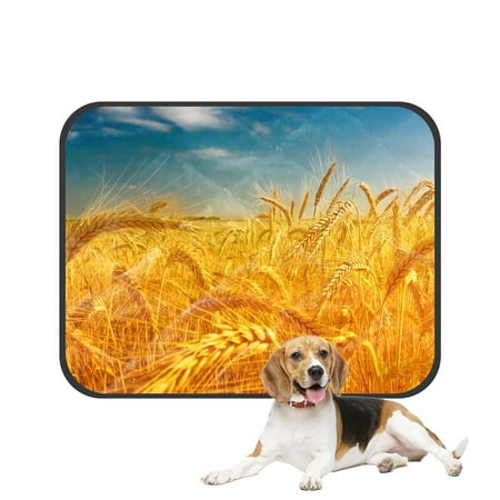 PKQWTM Golden Harvest under Blue Cloudy Sky on Sunset Pet Dog Cat Bed Pee Pads Mat Cushion Potty Dogs Blankets Crate Bed Kennel 36x48 inch