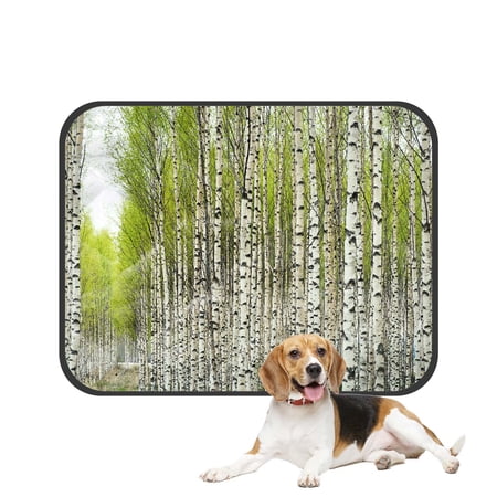 PKQWTM Green Birch Tree Bare Birch Trees with Fresh Green Leaves in Spring Pet Dog Cat Bed Pee Pads Mat Cushion Potty Dogsblankets Crate Bed Kennel 20x24 inch