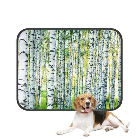 PKQWTM Green Birch Tree of Life Summer Birch Grass in Forest Woodland Pet Dog Cat Bed Pee Pads Mat Cushion Potty Dogsblankets Crate Bed Kennel 28x36 inch