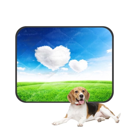 PKQWTM Green field under blue sky two heart shape Love Pet Dog Cat Bed Pee Pads Mat Cushion Potty Dogs Blankets Crate Bed Kennel 20x24 inch