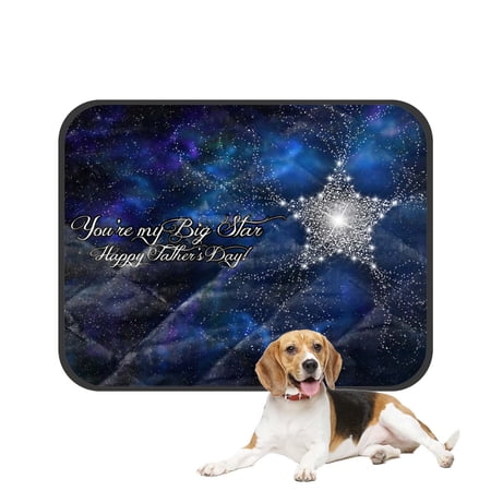 PKQWTM Happy Father's Day Pet Dog Cat Bed Pee Pads Mat Cushion Potty Dogsblankets Crate Bed Kennel 20x24 inch