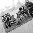 thumbnail image 1 of PKQWTM Headshot Of A Burchell'S Zebra Home Decor Floor Mat Area Rug Doormat Size 18x30 Inches, 1 of 1