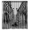 thumbnail image 1 of PKQWTM Headshot Of A Burchell'S Zebra WaterProof Polyester Fabric Shower Curtain Size 66x72 Inches, 1 of 1