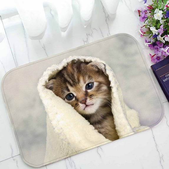 PKQWTM Kitten Closed In Towel Warm Sleepy Small White Home Decor Floor Mat Area Rug Doormat Size 15.7x23.6 Inches