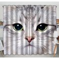 thumbnail image 1 of PKQWTM Kitten With Big Green Eyes Practical heat insulation Shading Window Curtain Size 52(W)x84(H) inches(Two Piece), 1 of 1