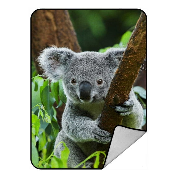 PKQWTM Koala Bear In The Zoo Blanket Crystal Velvet Throw Bed Blanket 58x80 inches