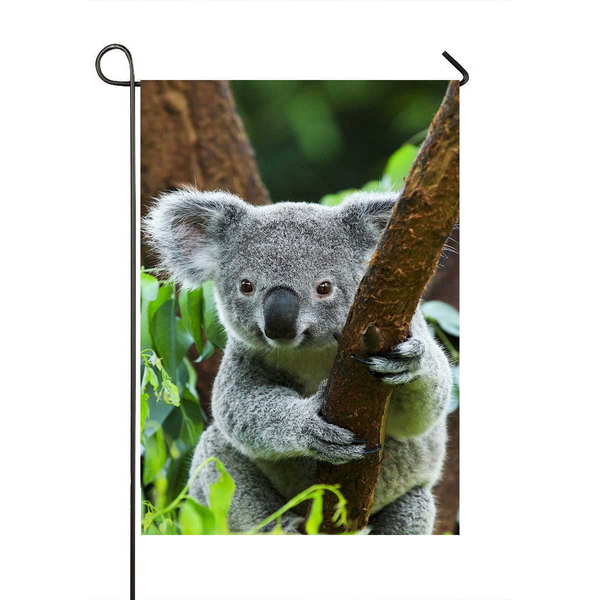 PKQWTM Koala Bear In The Zoo Yard Decor Home Garden Flag Size