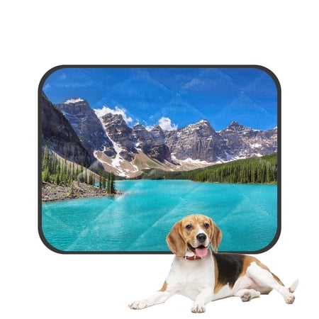 PKQWTM Lake Rocky Mountains Moraine Lake Banff National Park Canada Pet Dog Cat Bed Pee Pads Mat Cushion Potty Dogsblankets Crate Bed Kennel 14x18 inch