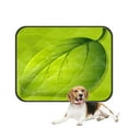 thumbnail image 1 of PKQWTM Leaf On White Pet Dog Cat Bed Pee Pads Mat Cushion Potty Dogs Blankets Crate Bed Kennel 36x48 inch, 1 of 3