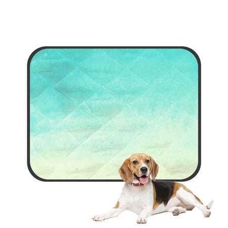PKQWTM Mint Green Yellow Painted Summer Holiday Vertical Pet Dog Cat Bed Pee Pads Mat Cushion Potty Dogsblankets Crate Bed Kennel 14x18 inch