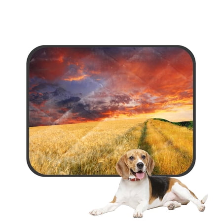 PKQWTM Mown Wheat Field on the Hills in Sicily at Sunset Nature Scenery Pet Dog Cat Bed Pee Pads Mat Cushion Potty Dogsblankets Crate Bed Kennel 25x30 inch