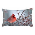thumbnail image 1 of PKQWTM Northern cardinal perched branch light winter snow Bed Decor Pillow Cases Zippered Cushion Cover Size 20x30 Inches, 1 of 1
