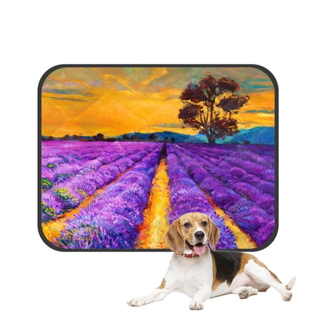 PKQWTM Original Oil Painting on Canvas Sunset Over Lavender Field Pet Dog Cat Bed Pee Pads Mat Cushion Potty Dogs Blankets Crate Bed Kennel 14x18 inch