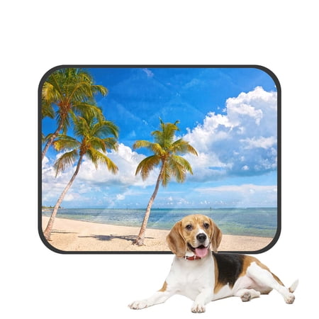 PKQWTM Palm trees Beach Key West blue sky ocean water Florida Pet Dog Cat Bed Pee Pads Mat Cushion Potty Dogs Blankets Crate Bed Kennel 36x48 inch