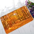 thumbnail image 1 of PKQWTM Pathway In The Forest In Autumn Home Decor Floor Mat Area Rug Doormat Size 18x30 Inches, 1 of 1