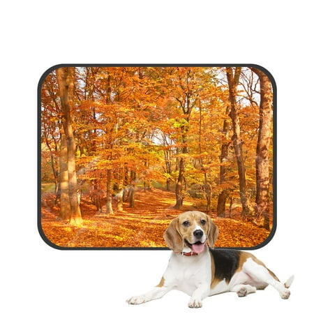 PKQWTM Pathway In The Forest In Autumn Pet Dog Cat Bed Pee Pads Mat Cushion Potty Dogs Blankets Crate Bed Kennel 28x36 inch