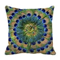 thumbnail image 1 of PKQWTM Peacock Feathers Bed Decor Pillow Cases Zippered Cushion Cover Size 20x20 Inches, 1 of 1