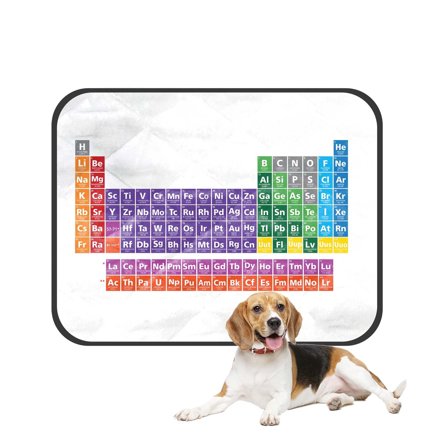 PKQWTM Periodic Table Table of the Elements Educational Pet Dog Cat Bed ...