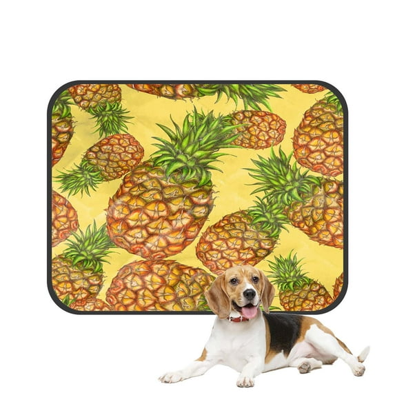 PKQWTM Pineapples Yellow Pet Dog Cat Bed Pee Pads Mat Cushion Potty Dogsblankets Crate Bed Kennel 14x18 inch