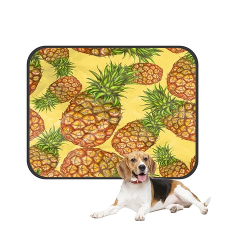 PKQWTM Pineapples Yellow Pet Dog Cat Bed Pee Pads Mat Cushion Potty Dogsblankets Crate Bed Kennel 36x48 inch