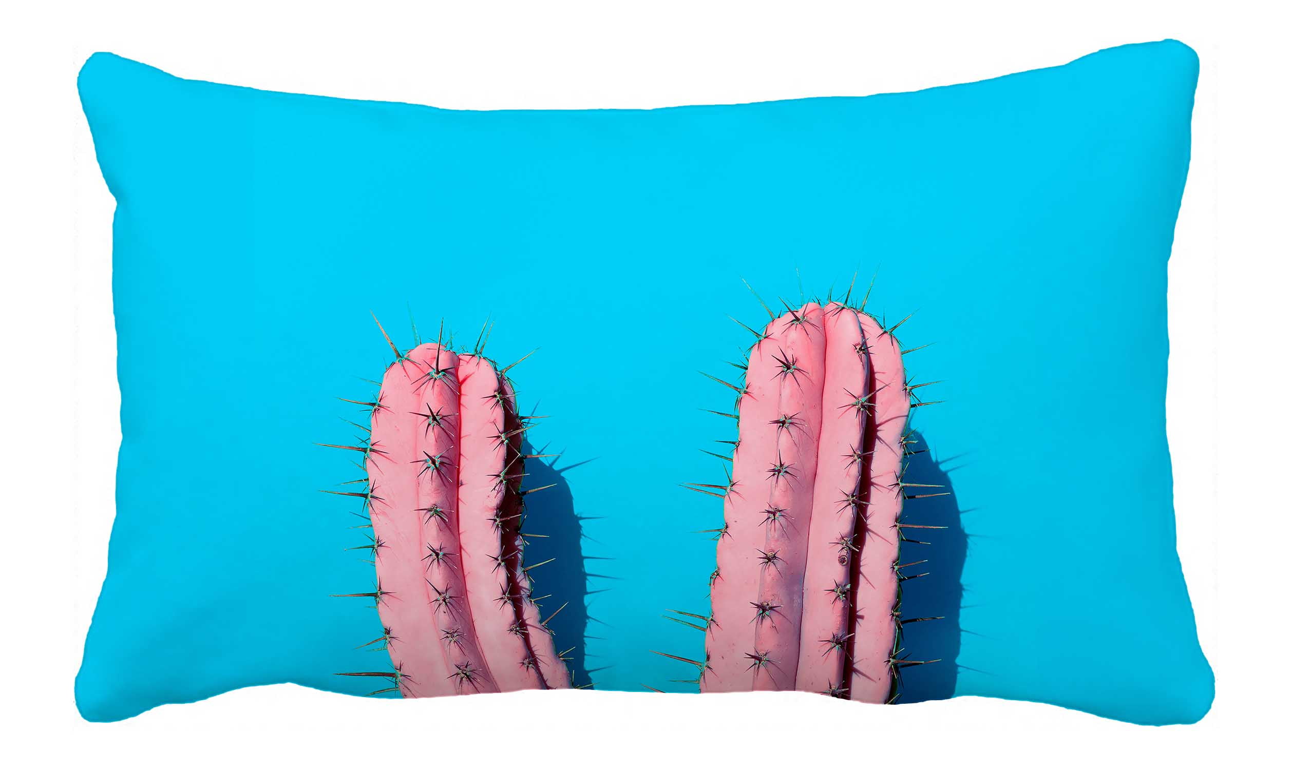 PKQWTM Pink Cactus Contemporary Art Minimal Design Bed Decor Pillow Cases Zippered Cushion Cover Size 20x20 Inches Walmart