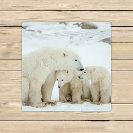 PKQWTM Polar bear cubs snow Microfiber Bath Towels Bathroom Body Shower Towel Size 13x13 Inches