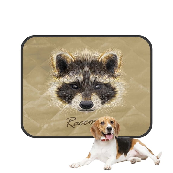 PKQWTM Raccoon Beige Mammal North America Eurasia Pet Dog Cat Bed Pee Pads Mat Cushion Potty Dogsblankets Crate Bed Kennel 36x48 inch