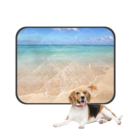 PKQWTM Sea Shells Starfish On Tropical Sand Turquoise Caribbean Summer Pet Dog Cat Bed Pee Pads Mat Cushion Potty Dogs Blankets Crate Bed Kennel 28x36 inch