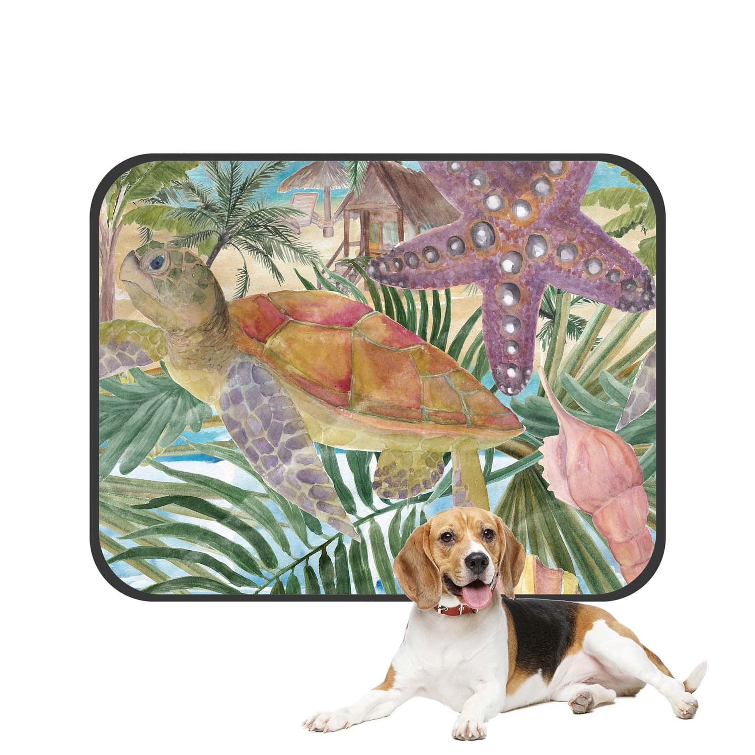 Curated visual reference: Pkqwtm Sea Turtle Seashell Starfish Tropical Palm Tree Leaves Pet Photo Inspiration
