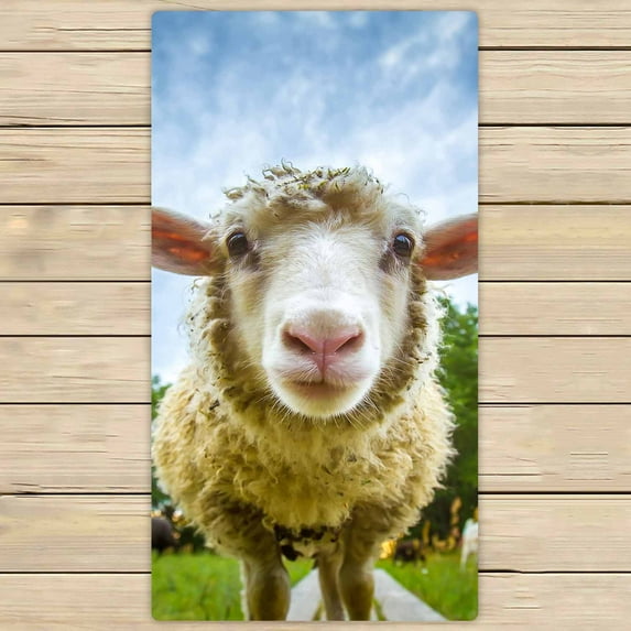 PKQWTM Sheep looking at the camera Microfiber Bath Towels Bathroom Body Shower Towel Size 30x56 Inches
