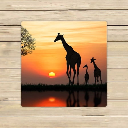 PKQWTM Silhouette Of Giraffe With Reflection In Water Microfiber Bath Towels Bathroom Body Shower Towel Size 13x13 Inches