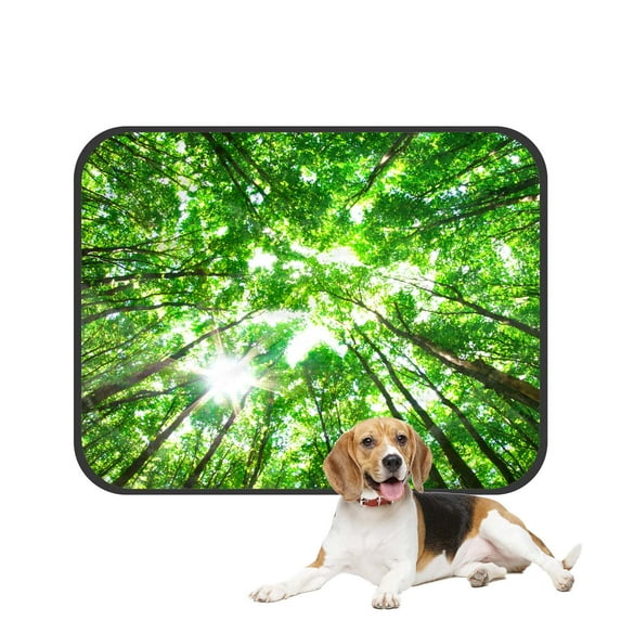 PKQWTM Spring Green Trees Early Monring Sun Forest Pet Dog Cat Bed Pee Pads Mat Cushion Potty Dogsblankets Crate Bed Kennel 20x24 inch