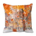 thumbnail image 1 of PKQWTM Sunlight Breaks Autumn Leaves Trees Winter Bed Decor Pillow Cases Zippered Cushion Cover Size 18x18 Inches, 1 of 1