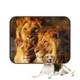 thumbnail image 1 of PKQWTM Sunset African Landscape Wildlife Animal Lions Pet Dog Cat Bed Pee Pads Mat Cushion Potty Dogsblankets Crate Bed Kennel 36x48 inch, 1 of 3