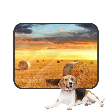 PKQWTM Sunset Farmland Scenery Autumn Straw Bales Pet Dog Cat Bed Pee Pads Mat Cushion Potty Dogsblankets Crate Bed Kennel 36x48 inch