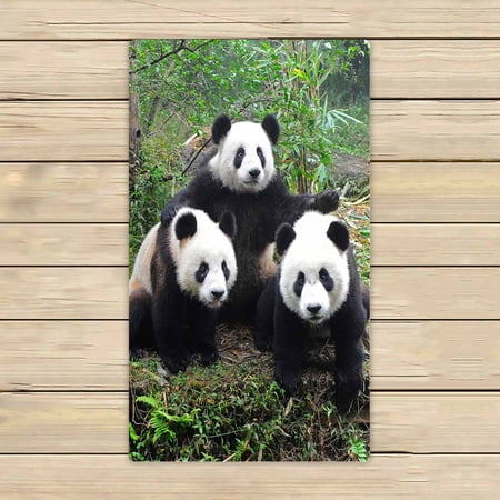 PKQWTM Three Giant Pandas Posing For Camera Microfiber Bath Towels Bathroom Body Shower Towel Size 16x28 Inches