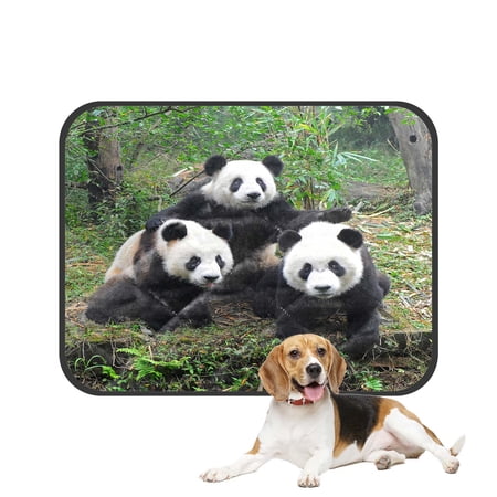 PKQWTM Three Giant Pandas Posing For Camera Pet Dog Cat Bed Pee Pads Mat Cushion Potty Dogs Blankets Crate Bed Kennel 28x36 inch