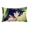 thumbnail image 1 of PKQWTM Tiny Chihuahua Bunny Animal Toy Blanket Bed Decor Pillow Cases Zippered Cushion Cover Size 20x30 Inches, 1 of 1
