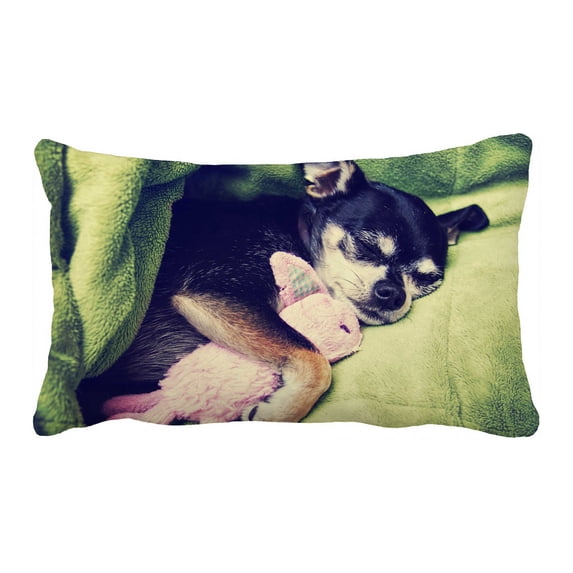 PKQWTM Tiny Chihuahua Bunny Animal Toy Blanket Bed Decor Pillow Cases Zippered Cushion Cover Size 20x30 Inches