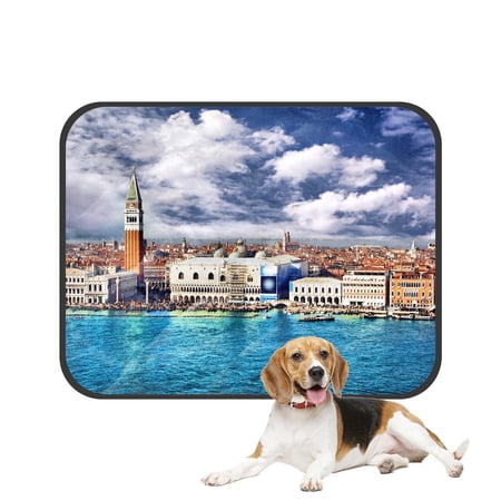 PKQWTM Travel Romantic Pleace Italy Veneia City Landscape Pet Dog Cat Bed Pee Pads Mat Cushion Potty Dogsblankets Crate Bed Kennel 36x48 inch