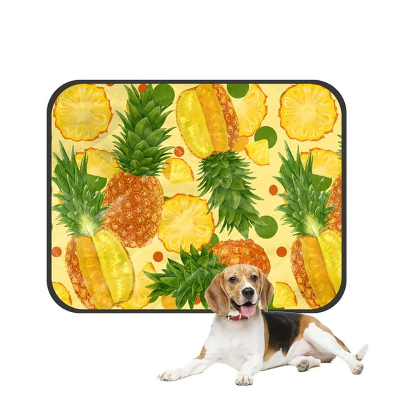 PKQWTM Tropical Fruit Pineapples Pet Dog Cat Bed Pee Pads Mat Cushion Potty Dogsblankets Crate Bed Kennel 14x18 inch