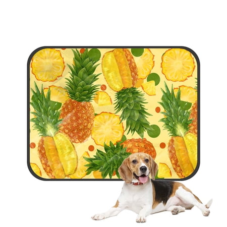 PKQWTM Tropical Fruit Pineapples Pet Dog Cat Bed Pee Pads Mat Cushion Potty Dogsblankets Crate Bed Kennel 28x36 inch