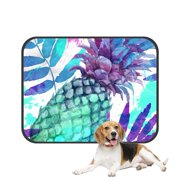 PKQWTM Tropical Fruit Vintage Pineapples Pet Dog Cat Bed Pee Pads Mat Cushion Potty Dogsblankets Crate Bed Kennel 20x24 inch