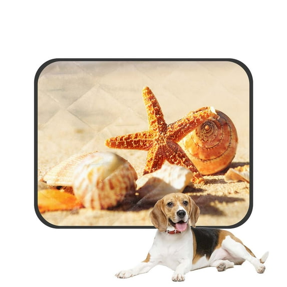 PKQWTM Tropical Island Sandy Beach Seashell Starfish Pet Dog Cat Bed Pee Pads Mat Cushion Potty Dogsblankets Crate Bed Kennel 14x18 inch