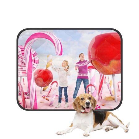 PKQWTM Two Girls In Candy Land Pet Dog Cat Bed Pee Pads Mat Cushion Potty Dogs Blankets Crate Bed Kennel 28x36 inch