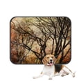 thumbnail image 1 of PKQWTM Vintage Autumn Trees Bare Tree Trunks in Autumn Pet Dog Cat Bed Pee Pads Mat Cushion Potty Dogsblankets Crate Bed Kennel 20x24 inch, 1 of 3