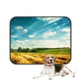 thumbnail image 1 of PKQWTM Vintage Sunset Wheat Field Auntumn Scenery Blue Sky Pet Dog Cat Bed Pee Pads Mat Cushion Potty Dogsblankets Crate Bed Kennel 14x18 inch, 1 of 3