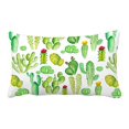 thumbnail image 1 of PKQWTM Watercolor Cactus Cacti Bed Decor Pillow Cases Zippered Cushion Cover Size 20x30 Inches, 1 of 1