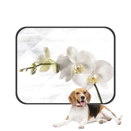 PKQWTM White Dendrobium Orchid Pet Dog Cat Bed Pee Pads Mat Cushion Potty Dogsblankets Crate Bed Kennel 20x24 inch